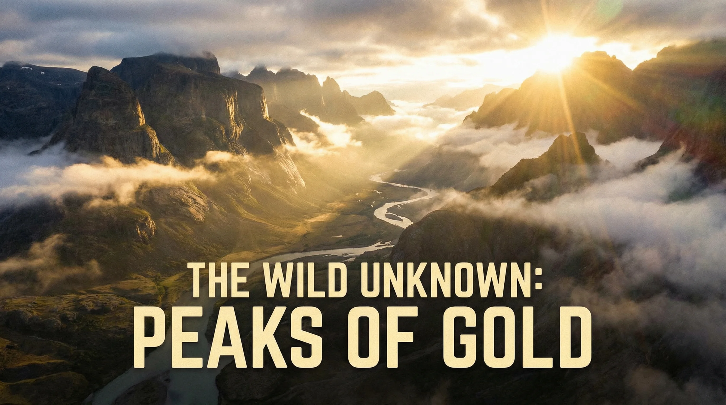 呦呦视频四虎影院特色内容